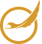 NG Eagle Airline